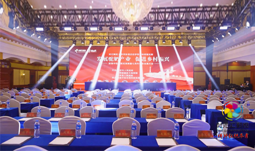 河南公司品牌活动策划|中驼七周年庆典活动策划